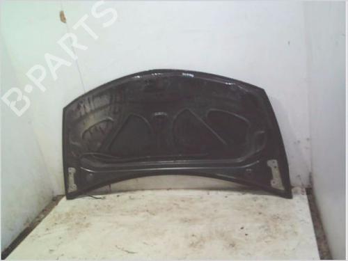 Hood RENAULT CLIO III (BR0/1, CR0/1) 1.4 16V | BP29490749C1 