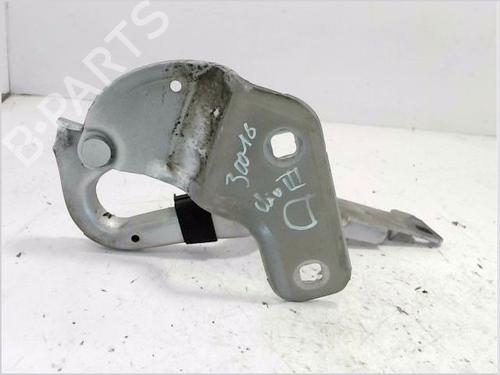 Hinge/Door check strap RENAULT CLIO III (BR0/1, CR0/1) 1.5 dCi (C/BR0G, C/BR1G) | BP27164149C146 