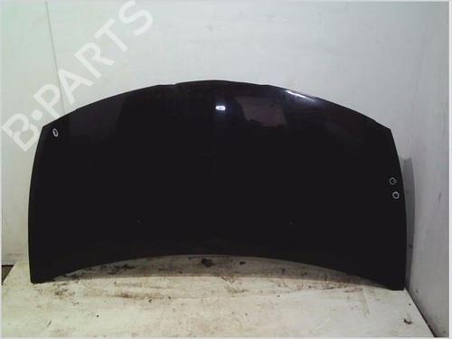 Used Hood RENAULT CLIO III (BR0/1, CR0/1) 1.2 16V (BR02, BR0J, BR11, CR02, CR0J, CR11) (75 hp) 26113947