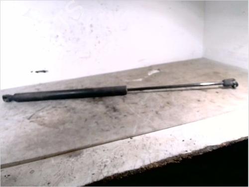 Used Tailgate lift support RENAULT MEGANE II Estate (KM0/1_) 2.0 dCi (150 hp) 26106638
