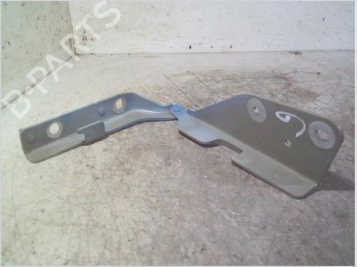 Hinge/Door check strap CITROËN C3 I (FC_, FN_) 1.4 i Bivalent | BP26932303C146 