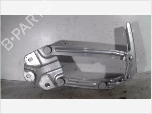 Hinge/Door check strap VW TOURAN (1T1, 1T2) 2.0 TDI 16V | BP26098118C146 