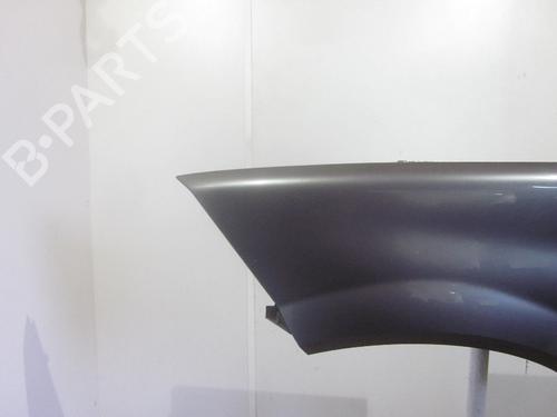 Left front fenders RENAULT MEGANE II (BM0/1_, CM0/1_) 1.6 16V (BM0C, CM0C) | BP26074840C41 