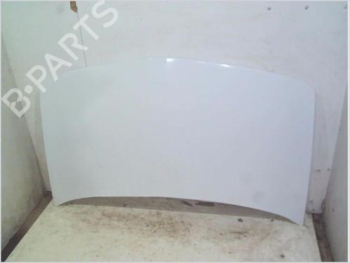 Used Hood RENAULT MEGANE II Estate (KM0/1_) 1.5 dCi (KM1F) (86 hp) 30466642