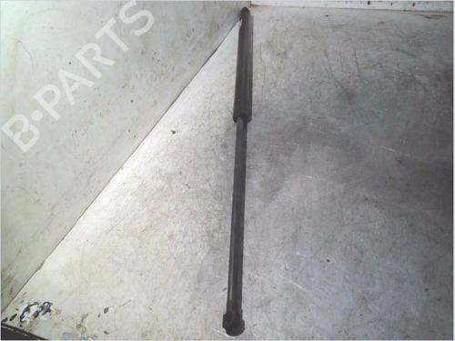 gasdmper-bagklap-renault-kangoo-kc01_-1997-36860228 main image