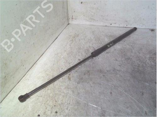 Used Tailgate lift support NISSAN JUKE (F15) 1.5 dCi (110 hp) 29644598