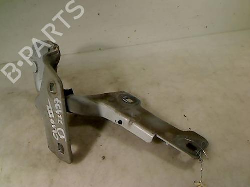 Hinge/Door check strap RENAULT CLIO III (BR0/1, CR0/1) 1.5 dCi | BP26082520C146 