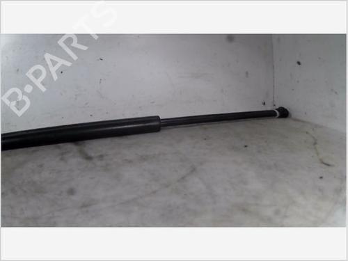 Tailgate lift support NISSAN ALMERA TINO (V10) 2.2 dCi | BP26096003C138 