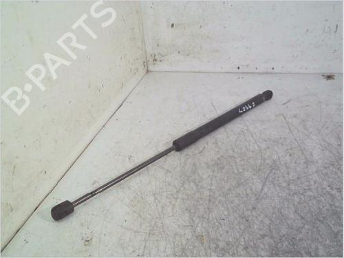 Used Tailgate lift support RENAULT MEGANE III Grandtour (KZ0/1) 1.5 dCi (KZ09, KZ0D, KZ1G, KZ29, KZ14, KZ1W, KZ10, KZ1F,... (110 hp) 26116567