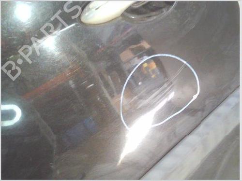 Left front door RENAULT CLIO III (BR0/1, CR0/1) 1.4 16V | BP29855353C2