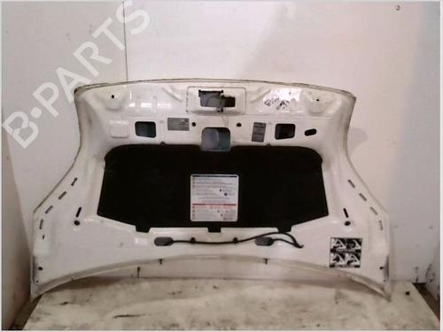 Hood CITROËN NEMO Box Body/MPV (AA_) 1.3 HDi 75 | BP26109707C1 