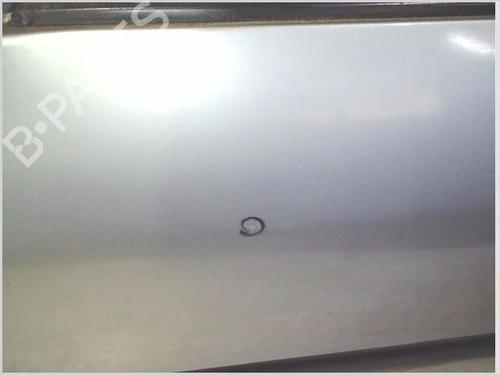 Left front door PEUGEOT 206 Hatchback (2A/C) 1.4 i | BP26119079C2 