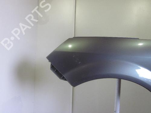 Left front fenders RENAULT SCÉNIC II (JM0/1_) 1.5 dCi (JM0F) | BP26069856C41 