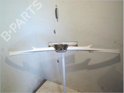 Used Grille Grille 37071109 37071109