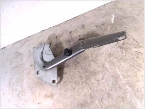 Used Hinge/Door check strap RENAULT MEGANE III Hatchback (BZ0/1_, B3_) 1.5 dCi (106 hp) 26104391