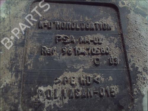 Fuel tank PEUGEOT PARTNER Box Body/MPV (5_, G_) 1.9 D | BP29540288C62 
