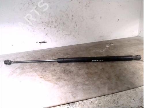 Used Tailgate lift support RENAULT SCÉNIC II (JM0/1_) 1.5 dCi (JM1F) (86 hp) 26107271