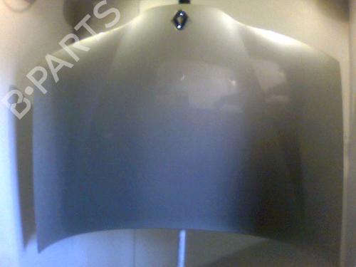 Used Hood RENAULT LAGUNA II (BG0/1_) 1.9 dCi (107 hp) 26090659