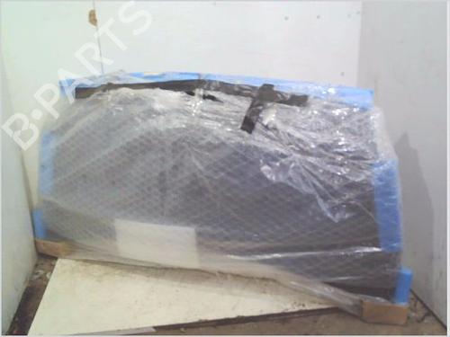 Motorhjelm RENAULT MASTER III Van (FV) 2.3 dCi 100 FWD (FV0A, FV0B, FV0G, FV0K, FV0H) (101 hp) 29352807