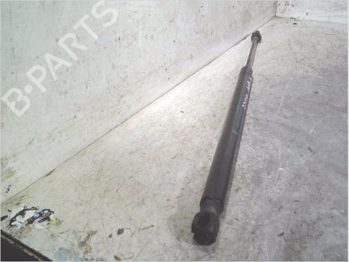 Used Tailgate lift support Tailgate lift support RENAULT GRAND SCÉNIC II (JM0/1_) 2.0 (135 hp) 36296429 36296429