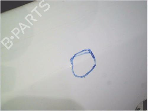 Left front door VW POLO V (6R1, 6C1) 1.2 | BP29976312C2