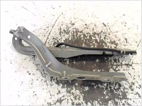 Used Hinge/Door check strap Hinge/Door check strap PEUGEOT 407 (6D_) 2.0 HDi 135 (6DRHRH, 6DRHRE, 6DRHRG, 6DRHRJ) (136 hp) 33294635 33294635