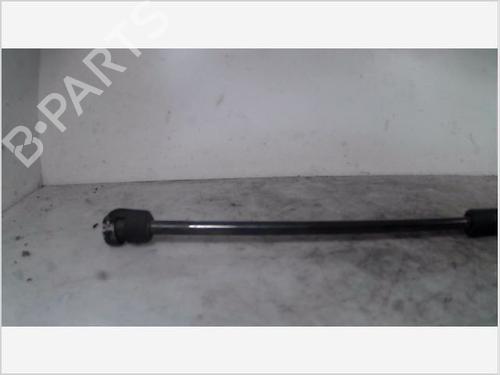 Tailgate lift support FORD FIESTA V (JH_, JD_) 1.3 | BP26096481C138 