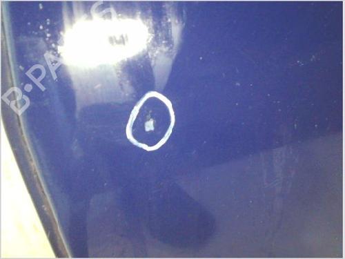 Left rear door DACIA SANDERO 1.2 16V | BP26120162C4