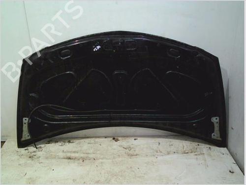 Hood RENAULT CLIO III (BR0/1, CR0/1) 1.2 16V (BR02, BR0J, BR11, CR02, CR0J, CR11) | BP26113947C1 
