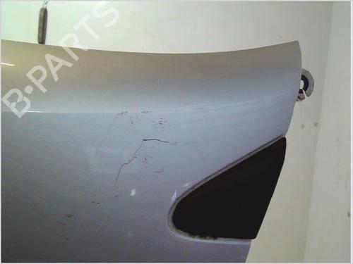 Left front fenders RENAULT CLIO III (BR0/1, CR0/1) 1.5 dCi | BP26111247C41 