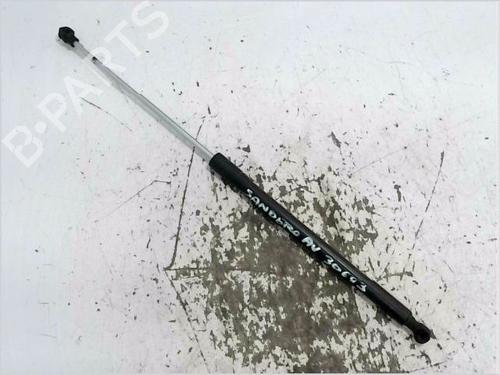 Ammortizzatore cofano anteriore DACIA SANDERO II 1.2 LPG (75 hp) 31916252