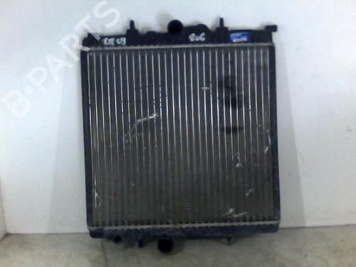 Wasserkühler für PEUGEOT 206+ (2L_, 2M_) 1.4 i (73 hp) 26067043