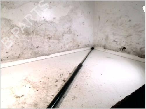 Used Tailgate lift support AUDI A4 B8 Avant (8K5) 3.0 TDI quattro (240 hp) 29482903