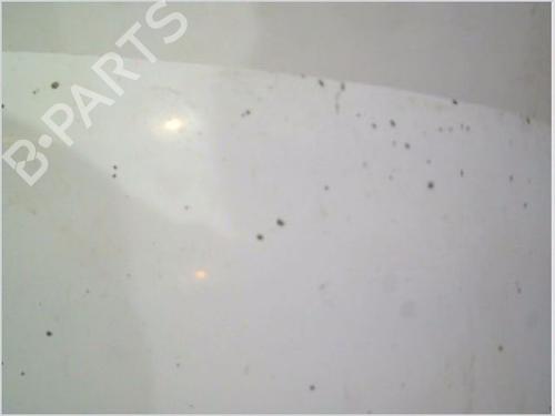 Hood RENAULT TRAFIC II Van (FL) 2.0 dCi 115 (FL01, FL0U, FL00, FL0H, FL0M) | BP29187734C1 