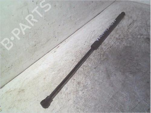 hood-lift-support-renault-vel-satis-bj0_-2002-31993425 main image