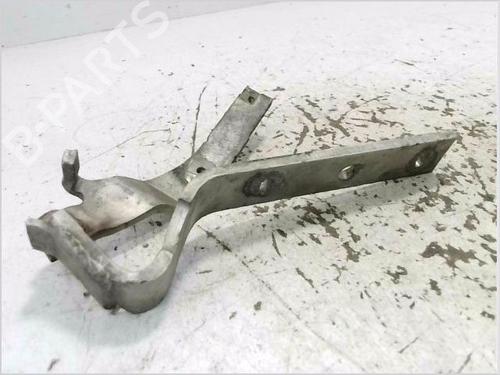Hinge/Door check strap RENAULT 21 (B48_) 2.1 D (B48V/B48O) | BP29750492C146 