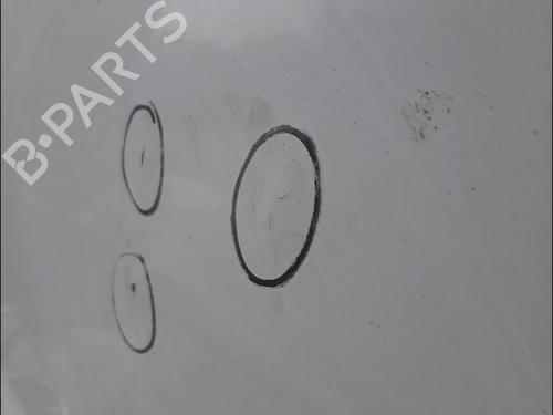 Right slide door RENAULT MASTER III Van (FV) 2.3 dCi 130 FWD (FV0M, FV0Y, FV0J, FV02, FV03) | BP29473483C75 