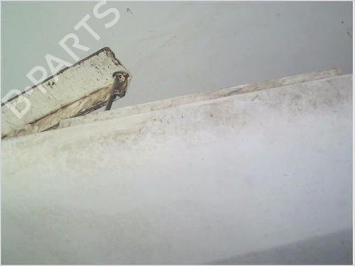 Right front fenders CITROËN JUMPY I (U6U_) 1.9 D 70 | BP26118681C42 