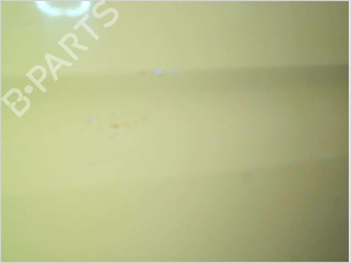Left front door NISSAN INTERSTAR Van (X70) dCi 120 | BP26096349C2 