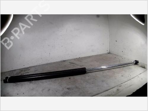 Used Hood lift support PEUGEOT 106 II (1A_, 1C_) 1.0 i (50 hp) 26097318
