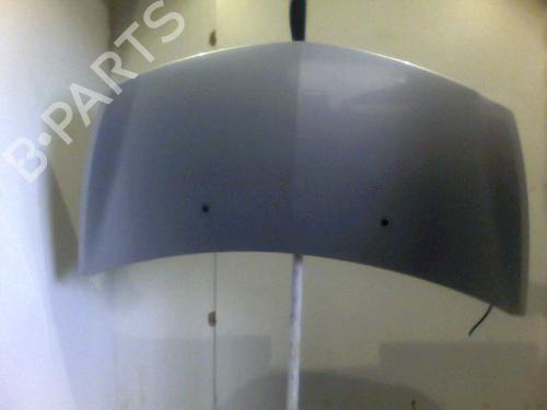 Used Hood RENAULT CLIO III (BR0/1, CR0/1) 1.5 dCi (BR17, CR17) (86 hp) 26080018