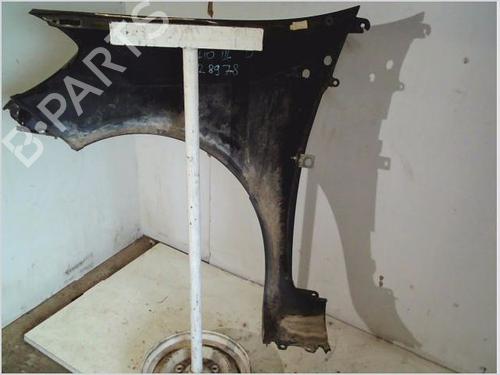 Right front fenders RENAULT CLIO III (BR0/1, CR0/1) 1.5 dCi (C/BR0G, C/BR1G) | BP26111224C42 