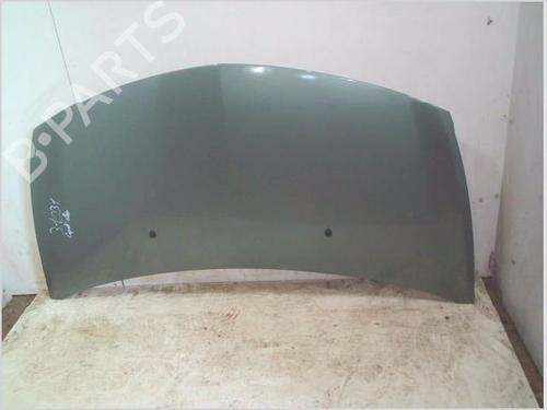 Used Hood RENAULT CLIO III (BR0/1, CR0/1) 1.5 dCi (C/BR0G, C/BR1G) (68 hp) 29187721