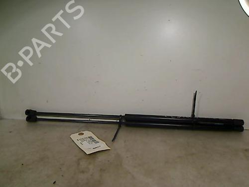 Used Tailgate lift support RENAULT SCÉNIC II (JM0/1_) 2.0 dCi (JM1K) (150 hp) 26075821