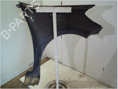 Left front fenders RENAULT CLIO III (BR0/1, CR0/1) 1.5 dCi (C/BR0G, C/BR1G) | BP26111223C41 