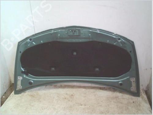 Hood RENAULT CLIO III (BR0/1, CR0/1) 1.5 dCi (C/BR0G, C/BR1G) | BP29187721C1 