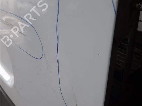 Tailgate RENAULT KANGOO (KC0/1_) D 65 1.9 (KC0E, KC02, KC0J, KC0N) | BP29576674C6 