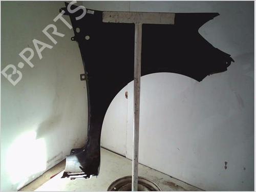 Left front fenders RENAULT CLIO III (BR0/1, CR0/1) 1.5 dCi (BR17, CR17) | BP26111361C41