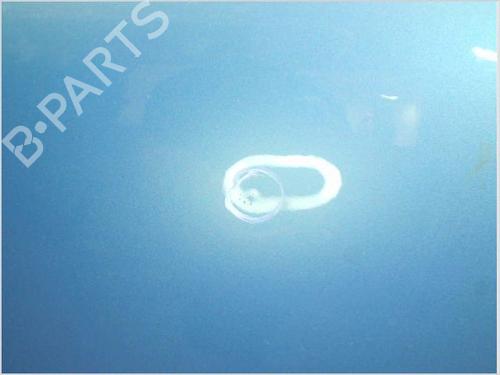 Left front fenders CITROËN C3 I (FC_, FN_) 1.4 i Bivalent | BP27271383C41 