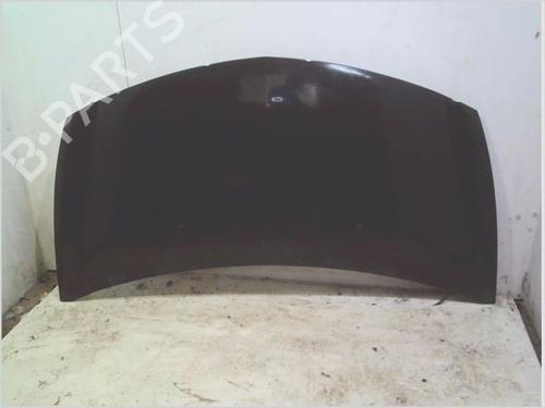 Used Hood RENAULT CLIO III (BR0/1, CR0/1) 1.4 16V (98 hp) 29490749